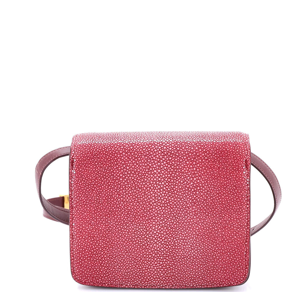 Celine Classic Box Bag Stingray Small #230570C17B - Picture 3 of 6